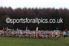 Senior womens Northern Cross Country, Knowsley Safari Park. Photo: David T. Hewitson/Sports for All Pics